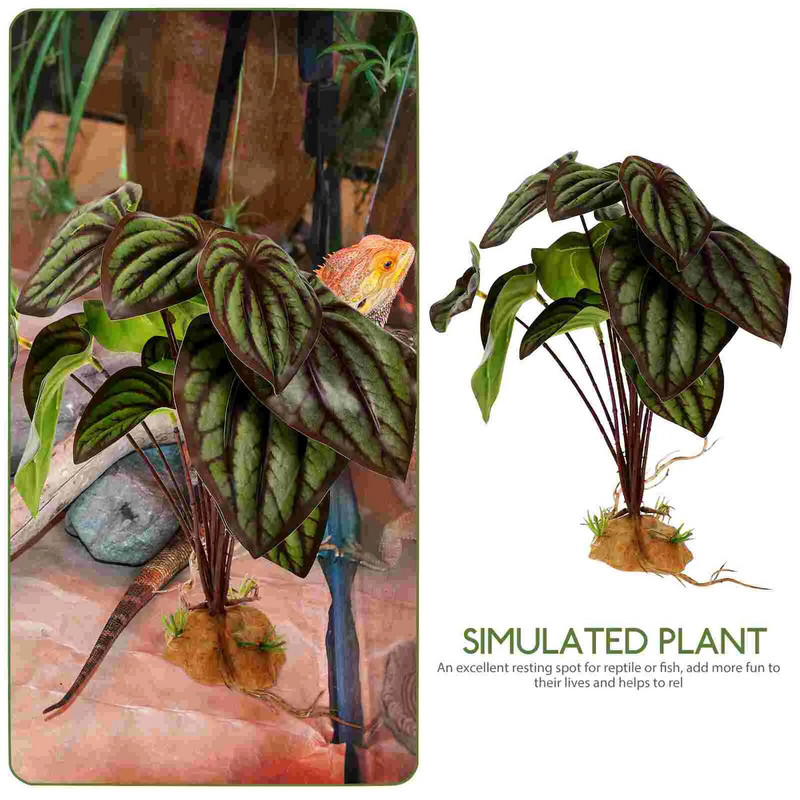 Roplių terariumo augalas žuvų bakas Gyvūniški dekoratyviniai augalai Dirbtinis kraštovaizdis Akvariumo kraštovaizdis, imituotas gyvūnams