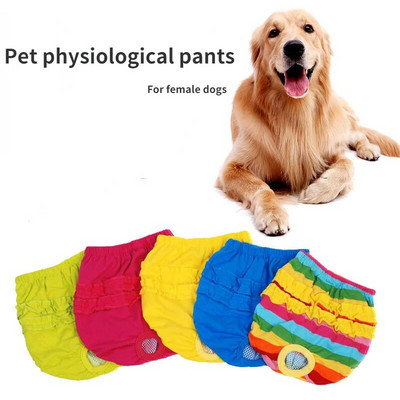 Pet physiological pants color lace big dog physiological pants puppy menstrual pants female dog underwear pet shorts clothes