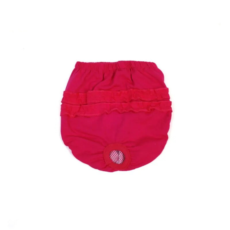 Pet physiological παντελόνι χρώμα δαντέλα μεγάλο σκυλί φυσιολογικό παντελόνι κουτάβι εμμηνορροϊκό παντελόνι γυναικείο σκύλο εσώρουχα κατοικίδιο σορτς ρούχα