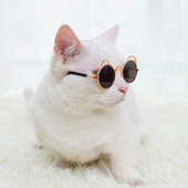Smieklīgi vintage krāsaini kaķu kostīmi Saulesbrilles Saģērbt kaķēnu suņa acis, valkāt aizsargātas brilles maziem mājdzīvniekiem Fotogrāfijas Aksesuāri