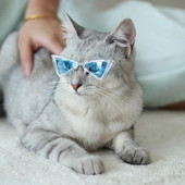 Saulesbrilles Mājdzīvnieku aksesuāri kaķiem Kucēns Kaķēns Aizsargbrilles Vēja necaurlaidīgas brilles Mājdzīvnieku āra ceļojumu piederumi