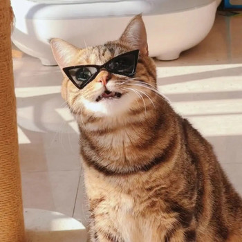 Γυαλιά ηλίου Αξεσουάρ για κατοικίδια για γάτες Puppy Kitten Goggles Αντιανεμικά γυαλιά κατοικίδιων ζώων Εξωτερικά ταξιδιωτικά γυαλιά
