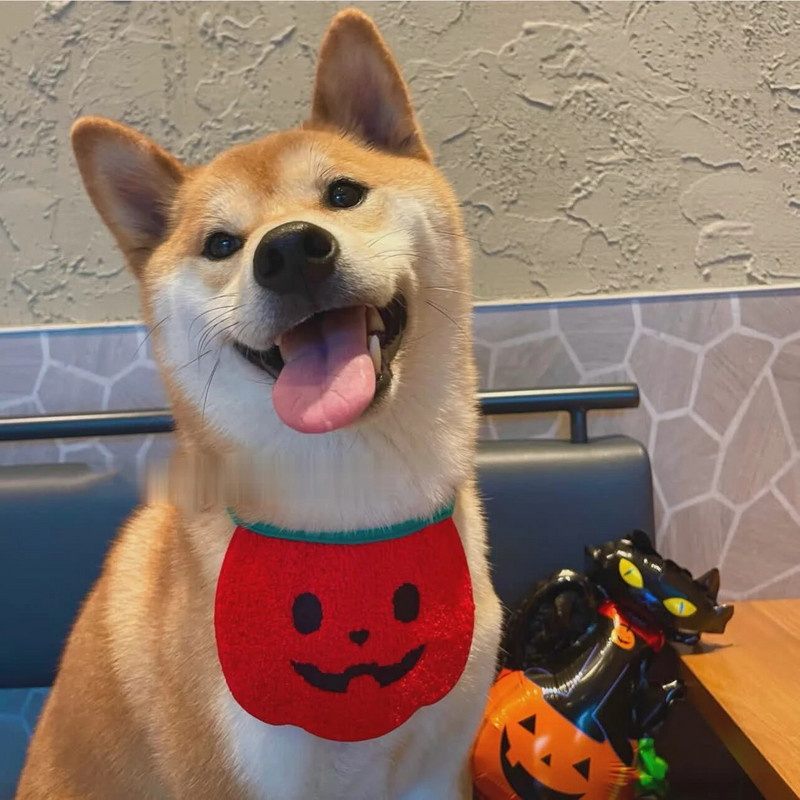 Oprsnica za kućne ljubimce Noć vještica Crtić Mačka Pas Oprsnica Zabava Smiješni Saliva Ručnik Šal Dodaci za kućne ljubimce