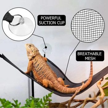 Βιότοπος ερπετών Ενθαρρύνετε τα κατοικίδιά μας να ασκούν περισσότερο τρίγωνο δίχτυ Relax Mesh Lizard Gecko Bed Reptile Hammock Solid Comfort