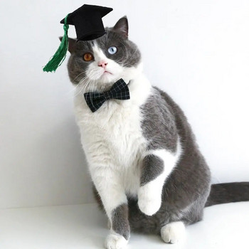Филцова шапка за дипломиране на котка Коте Папионка с пискюл Еластична шапка за кучешка степен Регулируема шапка за куче Dr. Hat Cosplay Party