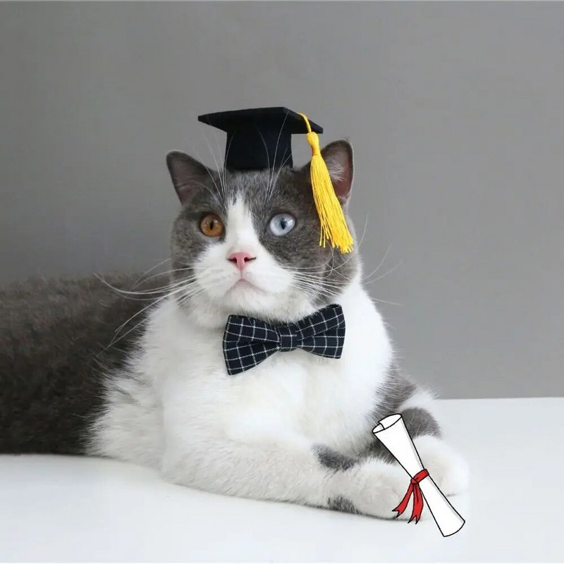 Felt Graduation Cap Kitten Παπιγιόν με φούντα Ελαστικό καπέλο σκύλου Ρυθμιζόμενο σκυλί Dr. Hat Cosplay Party