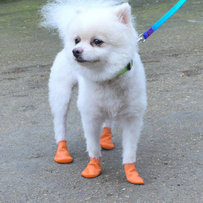 4 бр Puppy Rain Водоустойчиви неплъзгащи се гумени обувки за дъжд и сняг Защита на лапите за средни и малки кучета Обувки за открито
