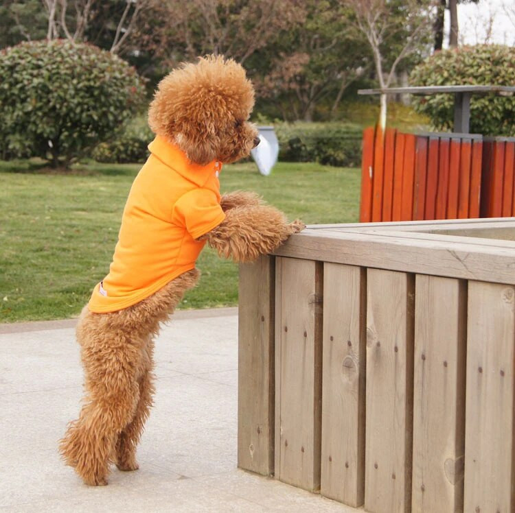 Boja slatkiša Slatki ljubimac Psić Polo ovratnik Pseća majica Mali pas Mačka Odjeća za kućne ljubimce Modni prsluk za kućne ljubimce Odjeća Kostim Teddy T-Shirt XS-XL