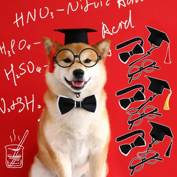 1 комплект регулируемо креативно обличане Домашно куче, котка, шапка, яка, очила, дипломиран костюм, шапка за котка, шапка, аксесоари за домашни любимци