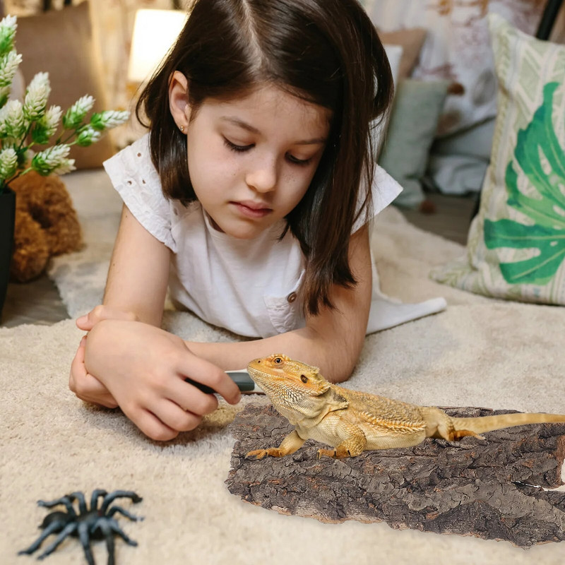 Roplių laipiojimo platforma kamštienos žievės barzdos vėžlys kepimo platforma akrilo medžio dekoravimas terariumo žuvų bako dekoravimas