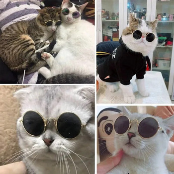 Кръгли котешки слънчеви очила, отражение, очила за носене на очи за малко куче, котка, красив домашен любимец, котка, очила, снимки на домашни любимци, реквизит, аксесоари