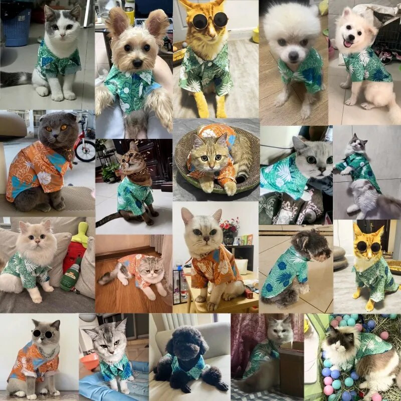 Suvine koera T-särk Hawaii Beach stiilis koera riided Hingav lemmiklooma kutsika dressipluus Chihuahua koera riided Lahe rannakassi särk