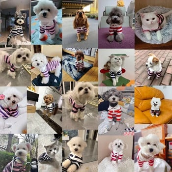 Μόδα ριγέ πουκάμισο για σκύλους για κατοικίδια Χαριτωμένα ρούχα για κουτάβι Καλοκαιρινό γιλέκο γάτας Μαλακό μπλουζάκι πόλο σκύλου για κατοικίδια γατούλα Ρούχα για σκύλους Τσιουάουα