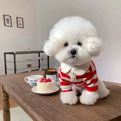 Mood lemmikloomakoera triibuline särk Armsad kutsikariided Suvine kassivest Pehme koera polosärk Lemmiklooma kassipoegade riided Chihuahua koera riided
