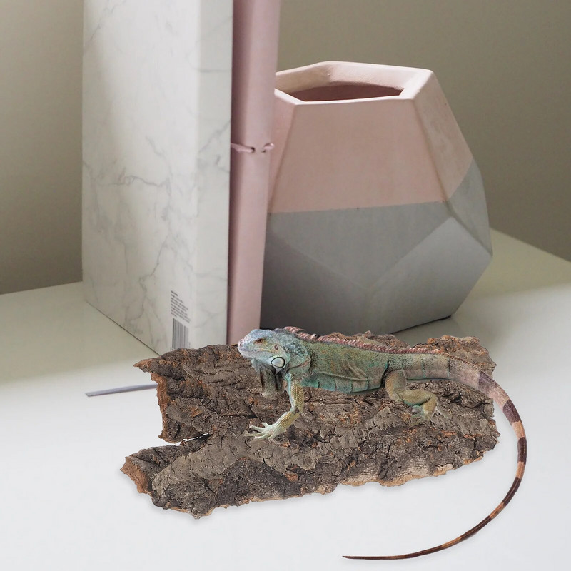 Ερπετά Πλατφόρμα αναρρίχησης Φελλός Φλοιός Γενειάδα Χελώνα Πλατφόρμα Basking Ακρυλικό Διακόσμηση Δέντρου Terrarium Διακόσμηση Δεξαμενής Ψαριών