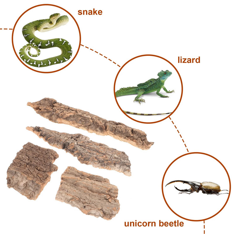 Ερπετά Πλατφόρμα αναρρίχησης Φελλός Φλοιός Γενειάδα Χελώνα Πλατφόρμα Basking Ακρυλικό Διακόσμηση Δέντρου Terrarium Διακόσμηση Δεξαμενής Ψαριών