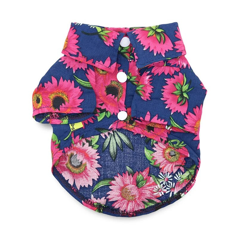 koera kassi rannas ananassi särk Hawaii lemmiklooma koera kassi kuldne retriiver kevad- ja suvehooaja riided