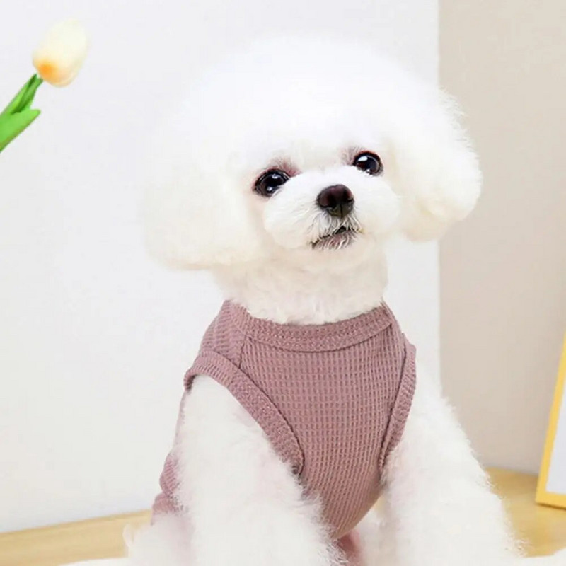 Μπλουζάκι για κατοικίδια Casual, στρογγυλή λαιμόκοψη, μονόχρωμο, χαριτωμένο μοτίβο αρκουδάκι, γιλέκο για σκύλους, για ανοιξιάτικα ρούχα για σκύλους για κατοικίδια, μπλουζάκι για κουτάβι γιλέκο