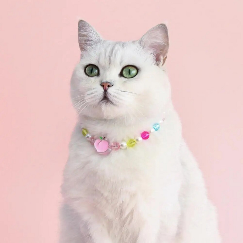 Ogrlica za kućne ljubimce Pribor za kućne ljubimce koji ne ostavlja trag Izvrsne moderne ogrlice za kućne ljubimce Ogrlica od šarenih perli za mačke, pse za stilizovane