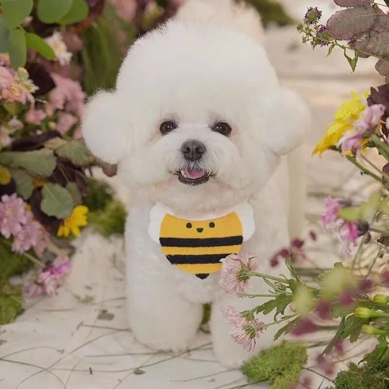 Cvijet Bib za kućne ljubimce Slatki crtani Pčela Mačka Slina Ručnik Pas Šal Štene Psi Mačke Dodaci