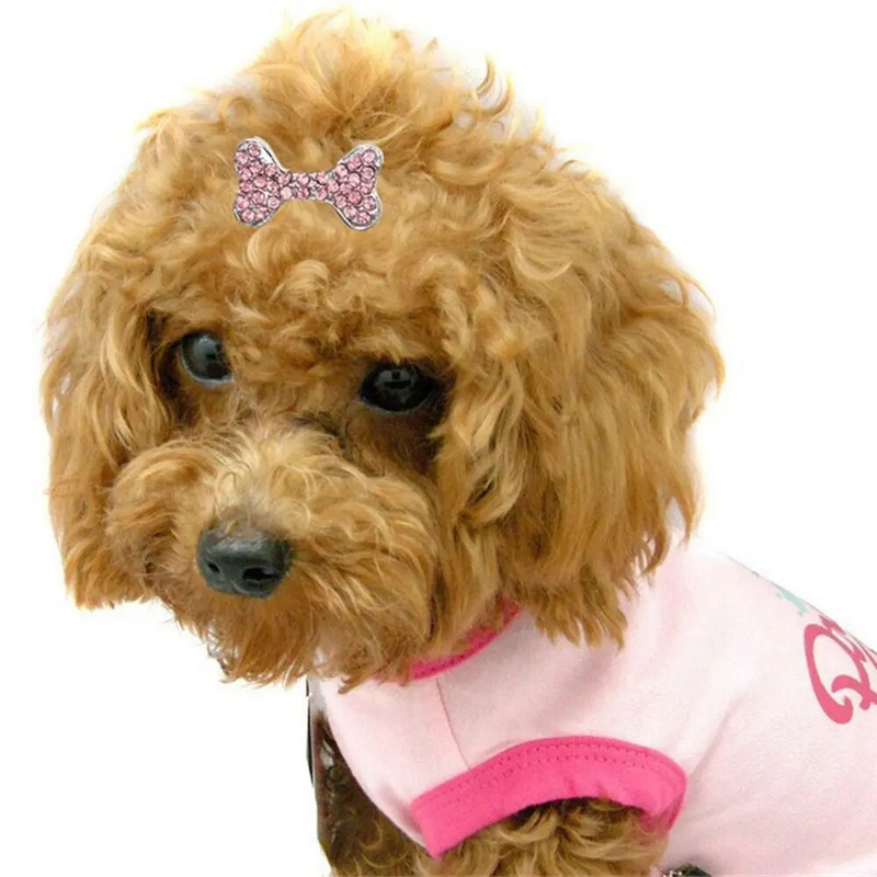 1 vnt. lankelio formos metalinis mielas mažo šuns katės plaukų segtukai karūna plaukų segtukai šuniukų naminių plaukų barrette naminių gyvūnėlių priežiūros reikmenys