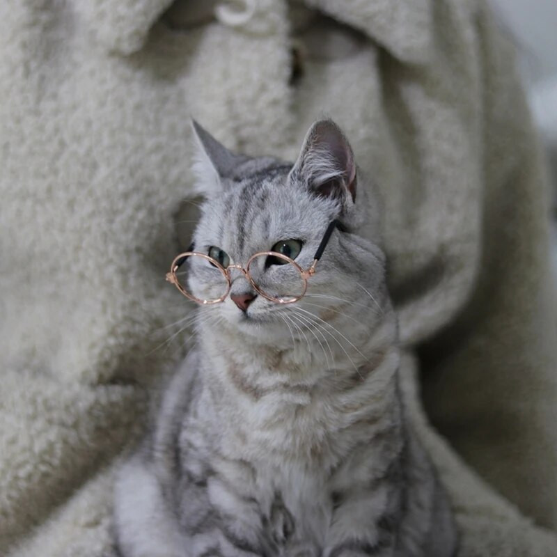 Κατοικίδια Γάτα Αστεία Στρογγυλή Σκελετός Μίνι Γυαλιά Φωτογραφίας Στήριγμα Μαύρη άκρη Χρυσή άκρη Γυαλιά ηλίου Party Puppy Kitten Αξεσουάρ