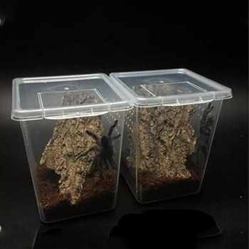 Пластмасова кутия за размножаване на влечуги, прозрачен терариум за влечуги, местообитание за скорпион, паяк, мравки, калъф за хранене за размножаване на гущери