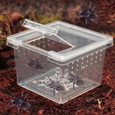 Műanyag hüllők tenyésztő doboz átlátszó hüllő terrárium élőhely skorpió pókhangyák gyíktenyésztő etetőtáska