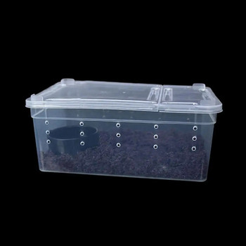 Кутия за отглеждане Анти-деформирана вентилирана клетка за разплод на домашни любимци Контейнер за люпене Малки домашни любимци Влечуги Кутия за живеене Терариум Хабитат
