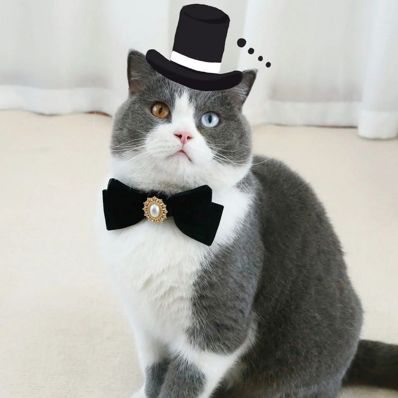 Ρετρό γιακά για γάτες βελούδινο παπιγιόν γατάκι με μαργαριταρένιο κολιέ για κουτάβι Αξεσουάρ για πάρτι για κατοικίδια