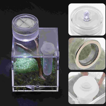 Terrarium Jumping Spider Breeding Box Small Clear Container Reptile Acrylic House