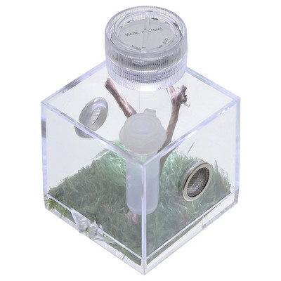 Терариум Кутия за скачащи паяци Малък прозрачен контейнер Акрилна къща за влечуги