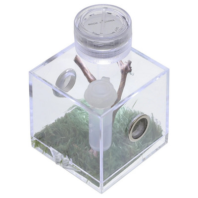 Terrárium Jumping Spider Breeding Box Kis átlátszó konténer hüllő akril ház