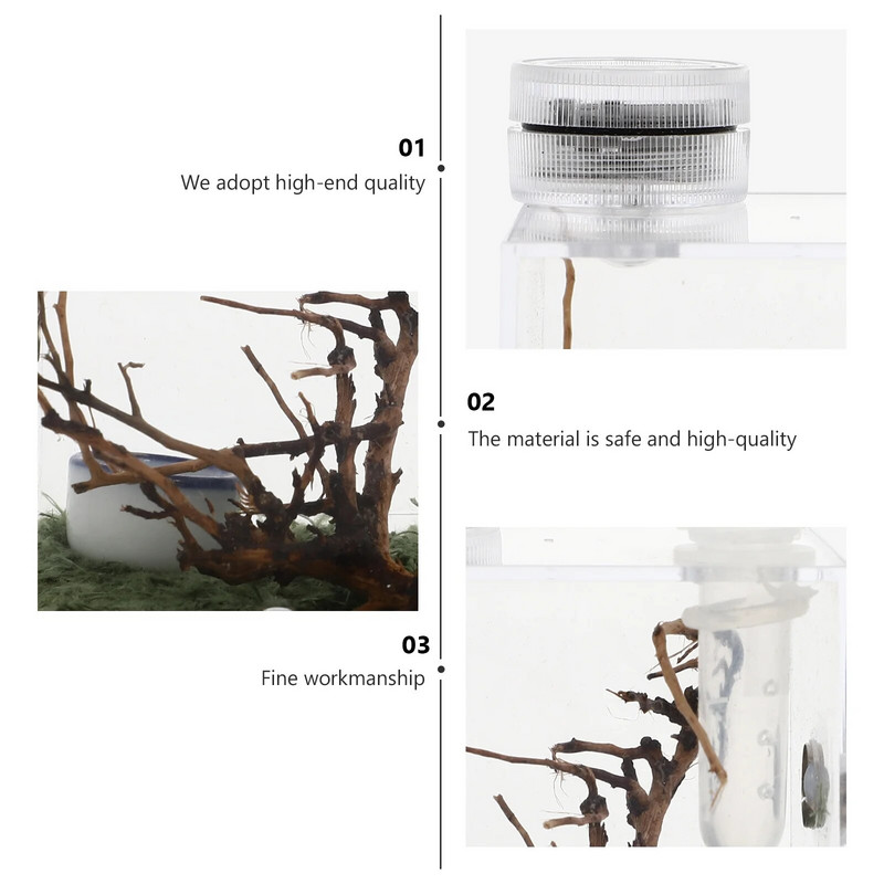 Terariumo šokinėjimo vorų veisimo dėžutė Mažas skaidrus konteineris roplių akrilo namas