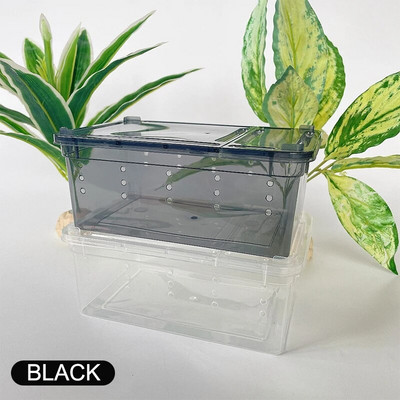 1tk Plastikust 19cmx12,5x7,5cm terraarium roomajatele Spider Läbipaistev plastikust söödakarp putukate toidukonteiner