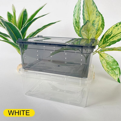 1tk Plastikust 19cmx12,5x7,5cm terraarium roomajatele Spider Läbipaistev plastikust söödakarp putukate toidukonteiner