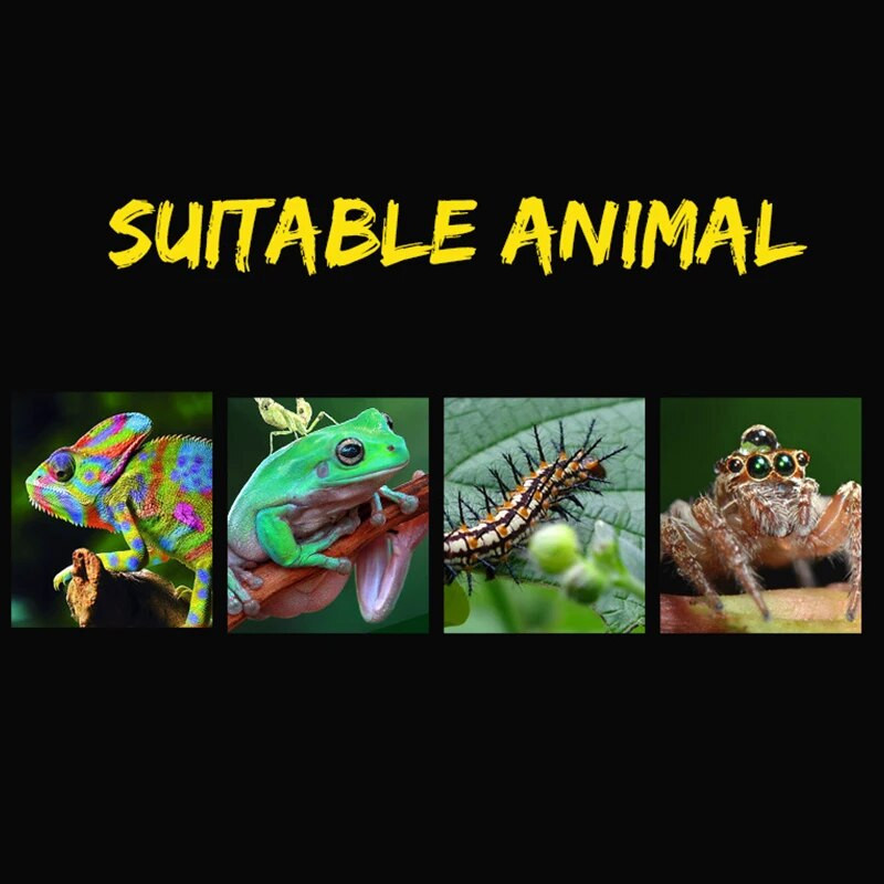 1 τεμ Πλαστικό 19cmx12,5cmx7,5cm Terrarium For Reptiles Spider Διάφανο Πλαστικό Κουτί Στροφής Δοχείο Τροφής Εντόμων