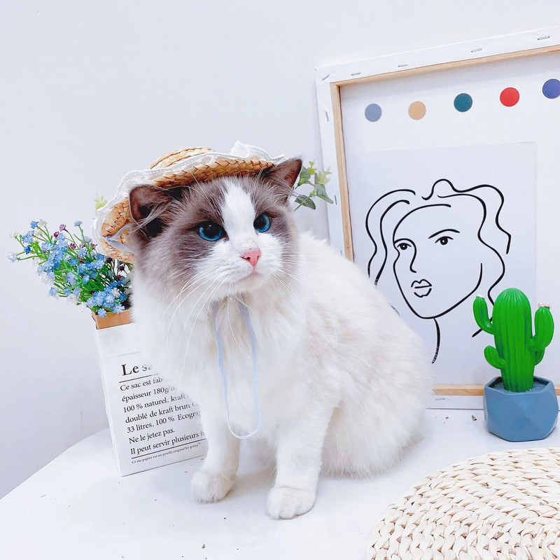 Ανοιξιάτικο και Καλοκαίρι Λουλούδι Καπέλο Γάτα Σκιά ηλίου Ψάθινο καπέλο Ρούχα για κατοικίδια Αξεσουάρ για κουτάβι Μικρά καπέλα σκύλου Καπέλα για σκύλους γάτες