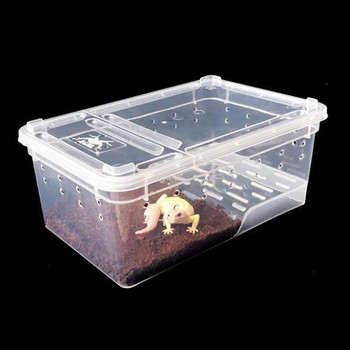 Amphibian Feeding Box Plastic Reptile Container Turtle Tank Aquarium Reptisoil Habitat Terrariums Platform Tortoise Home