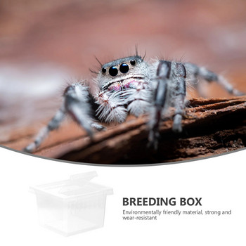 Small Spider Lizard Farm Insect Breathable Terrarium Διάφανο κουτί αναπαραγωγής ερπετών Πλαστικό συναρμολογημένο οικολογικό κουτί για κατοικίδια