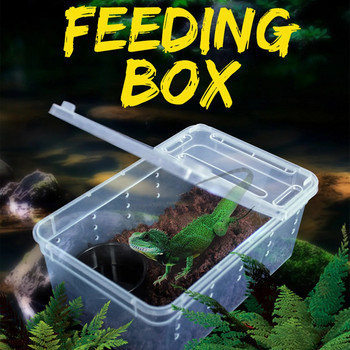Reptile Breeding Box Φορητό Snake Breeding Box Lizard Cage Hatching Container for Scorpion Spider Frog