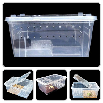 Земноводни Кутия за хранене Резервоар за костенурки Аквариум Платформа за влечуги Отглеждане на охлюви Терариум Костенурки Терариуми Творчески аквариум за влечуги