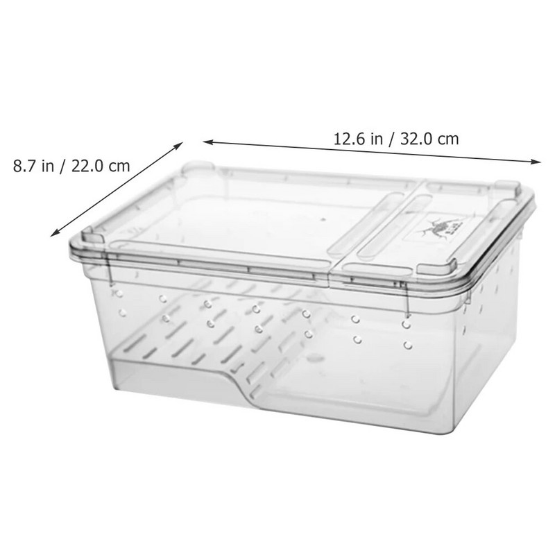 Amphibian Feeding Box Turtle Tank Aquarium Reptile Platform Raising Snail Terrarium Turtles Terrariums Creative Reptile Tank