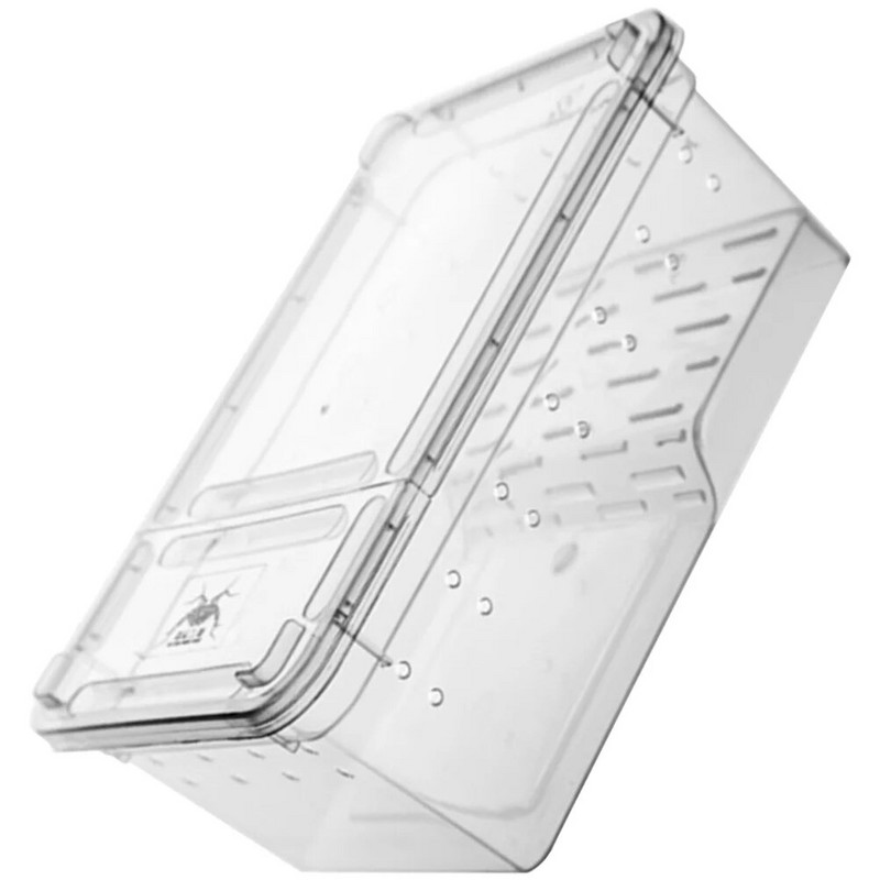 Amphibian Feeding Box Turtle Tank Aquarium Reptile Platform Raising Snail Terrarium Turtles Terrariums Creative Reptile Tank