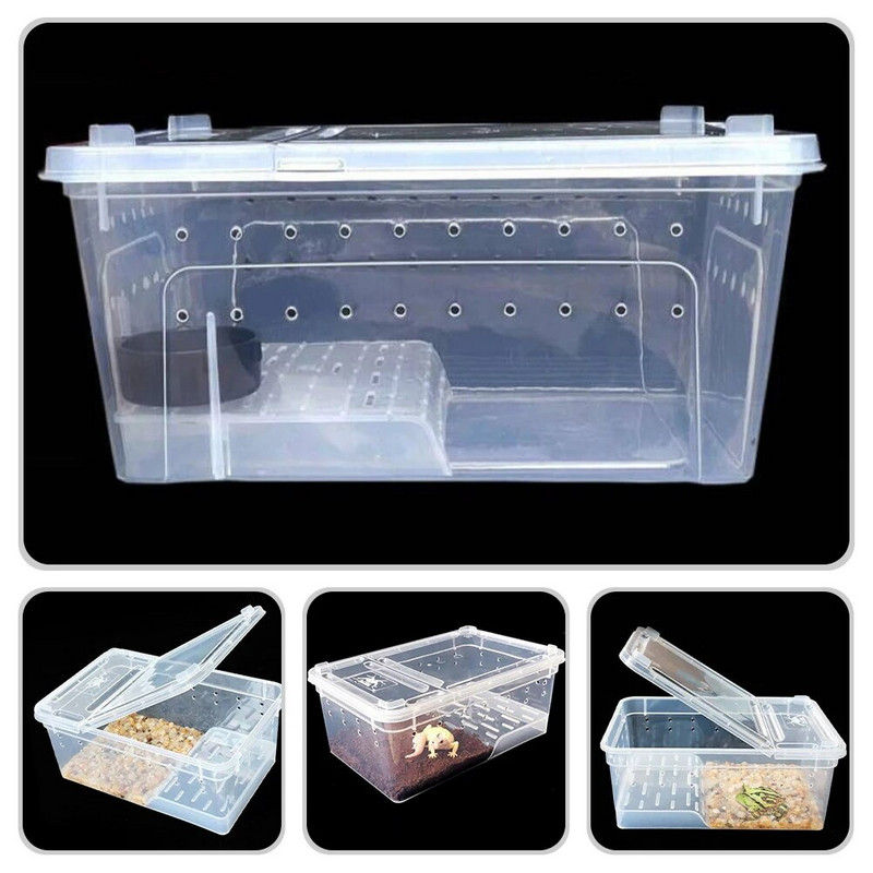 Amphibian Feeding Box Turtle Tank Aquarium Reptile Platform Raising Snail Terrarium Turtles Terrariums Creative Reptile Tank