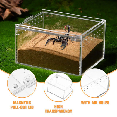 1Pc Reptile Box Breeding Tank Feeding Forterrarium Διάφανο περίβλημα θήκης κοντέινερ Κρίκετ Isolated Crab Tarantula Habitat