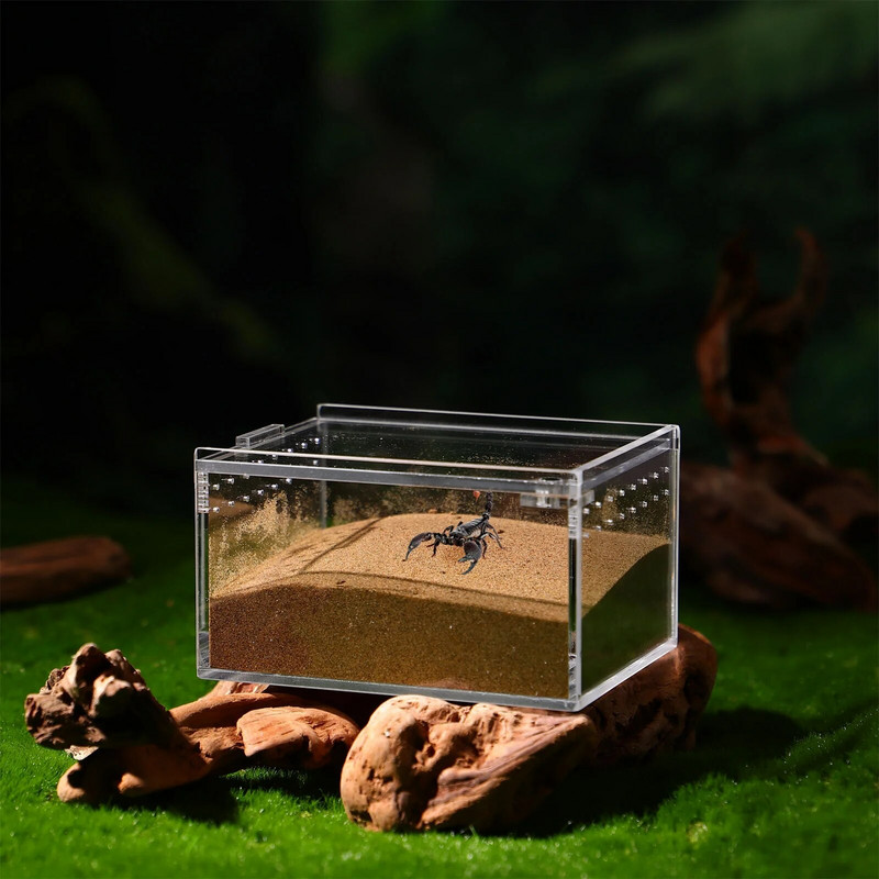 1Pc Reptile Box Breeding Tank Feeding Forterrarium Διάφανο περίβλημα θήκης κοντέινερ Κρίκετ Isolated Crab Tarantula Habitat