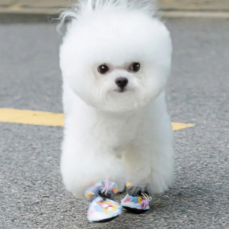 Pehme voodriga tuulekindla disainiga libisemisvastased lemmikloomajalatsid Tractionile Mugavad istuvad väikestele koertele Armsad õues kasutamiseks