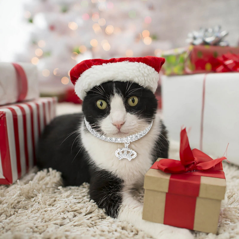 Towline kaelarihm nahast kaelarihm ja jalutusrihm koertele Kuldne kett Koera kaelarihm koera kaelakee metallist omatehtud koera kaelarihmad kaelarihm nailon