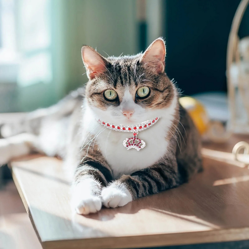 Towline kaelarihm nahast kaelarihm ja jalutusrihm koertele Kuldne kett Koera kaelarihm koera kaelakee metallist omatehtud koera kaelarihmad kaelarihm nailon